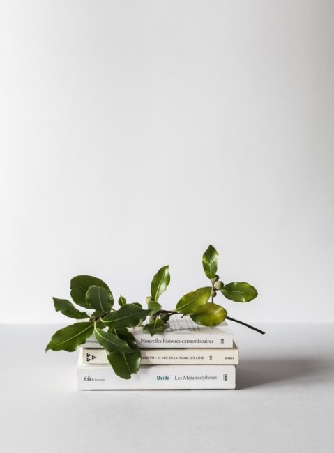 alex-loup-2zDw14yCYqk-unsplash